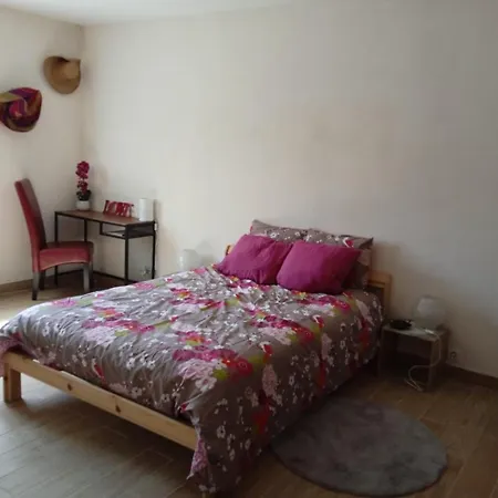 Apartment Les Sycomores Prive Avec Jardin
